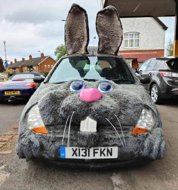 Strange Designs And Finds (26 pics)