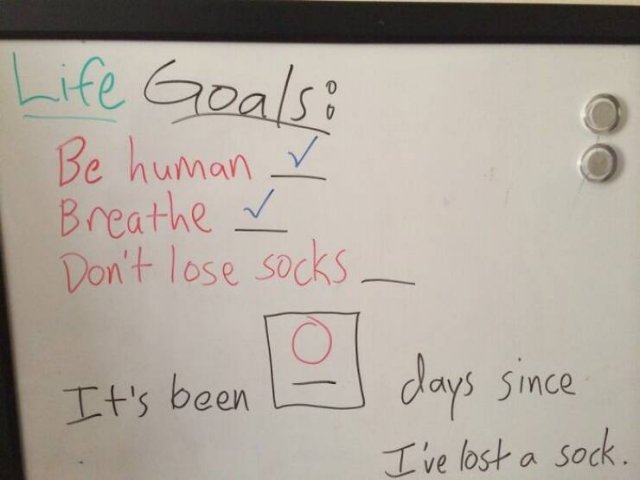 Funny Stories About Living With Neighbors (21 pics)