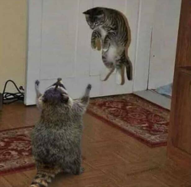 Right Moment (17 pics)