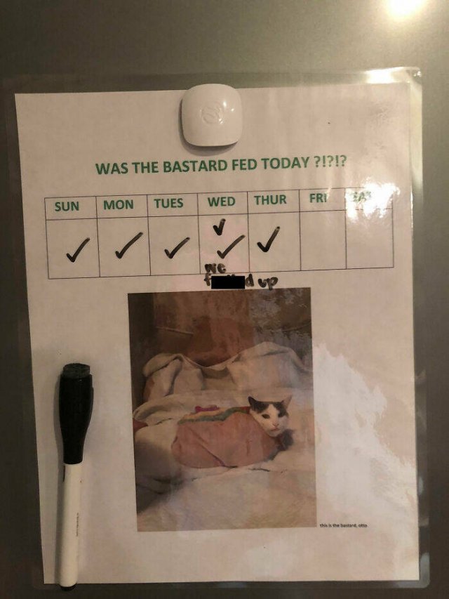 Funny Stories About Living With Neighbors (21 pics)