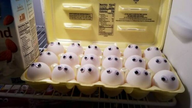 Funny Stories About Living With Neighbors (21 pics)