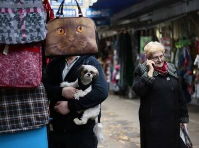 Right Moment (17 pics)