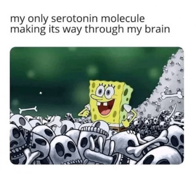 Memes About Life (27 pics)