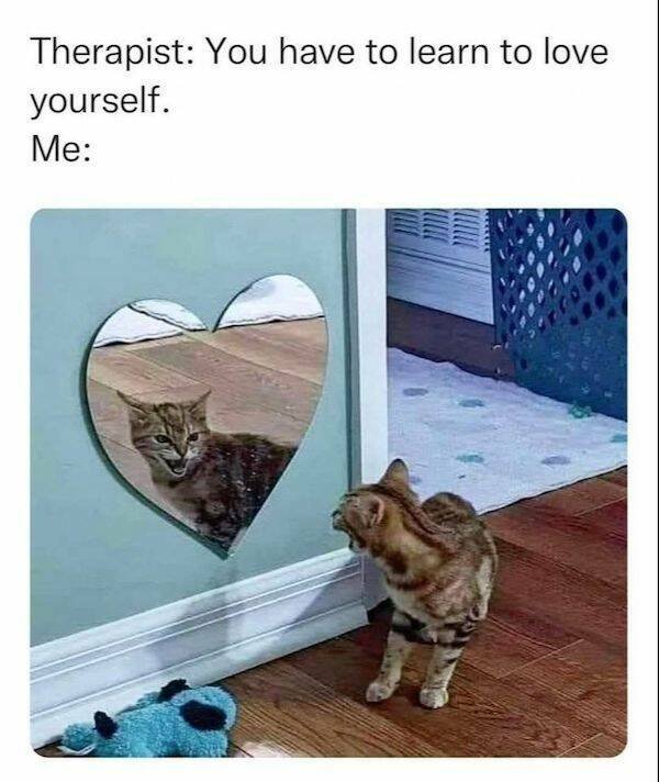 Memes About Life (27 pics)