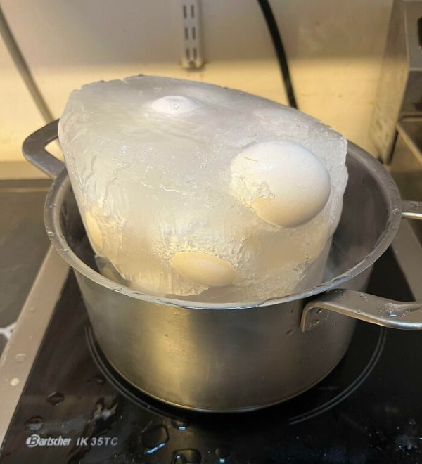 Terrible And Failed Dishes (24 pics) Terrible And Failed Dishes (24 pics)