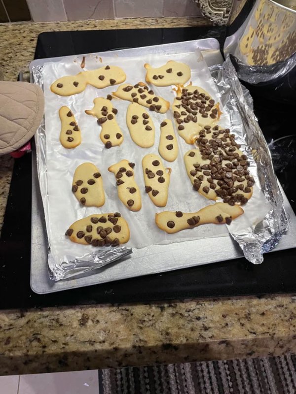 Terrible And Failed Dishes (24 pics)