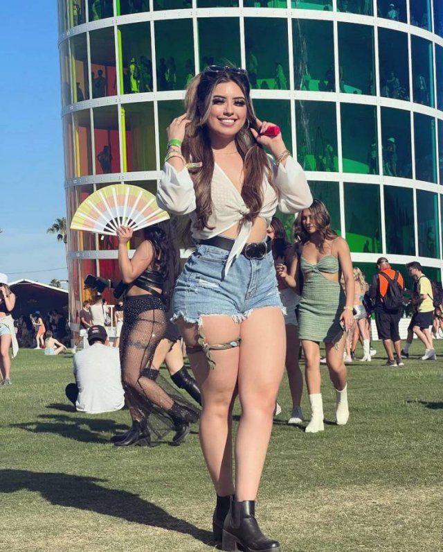 Girls At Music Festivals (38 pics)