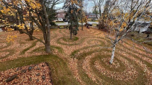 Photos For Perfectionists (20 pics)
