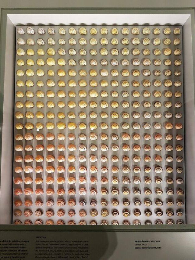 Photos For Perfectionists (20 pics)