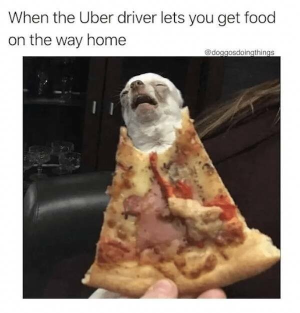 Food Memes  (25 pics)