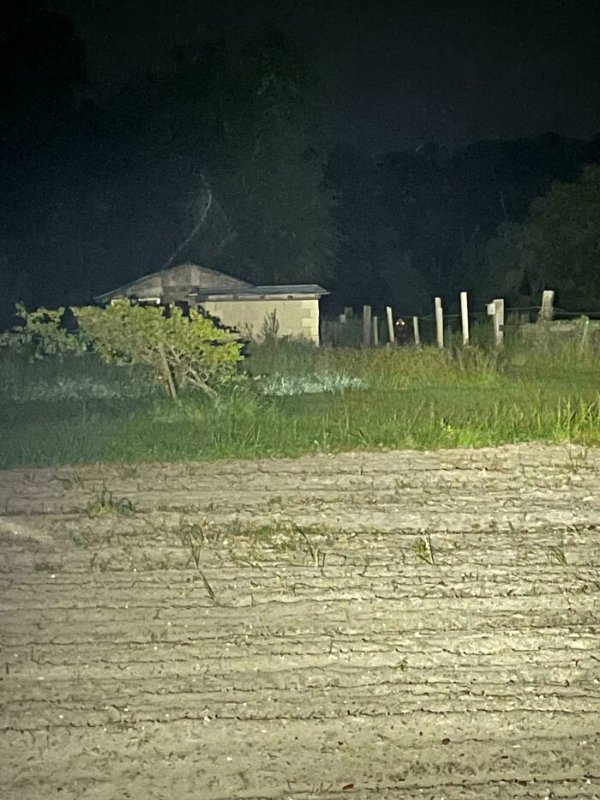 Creepy Finds And Photos (22 pics) Creepy Finds And Photos (22 pics)