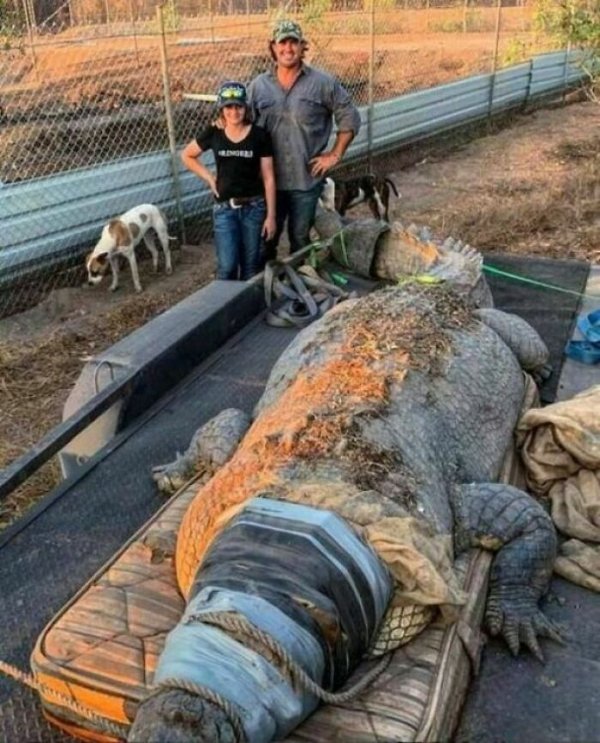 Creepy Finds And Photos (22 pics) Creepy Finds And Photos (22 pics)