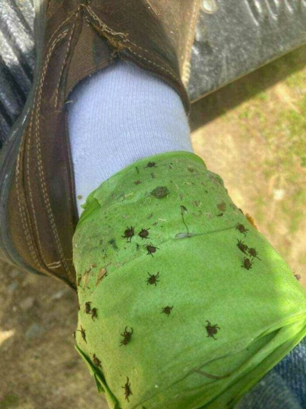 Creepy Finds And Photos (22 pics) Creepy Finds And Photos (22 pics)