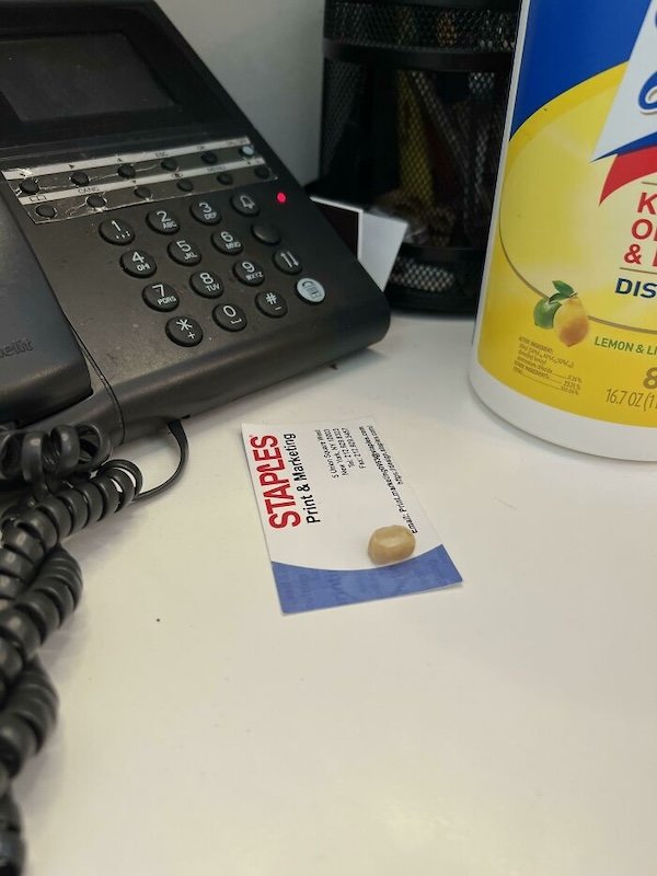 Annoying Coworkers (25 pics)