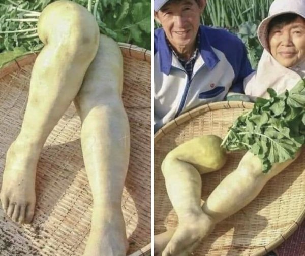 Creepy Finds And Photos (22 pics) Creepy Finds And Photos (22 pics)