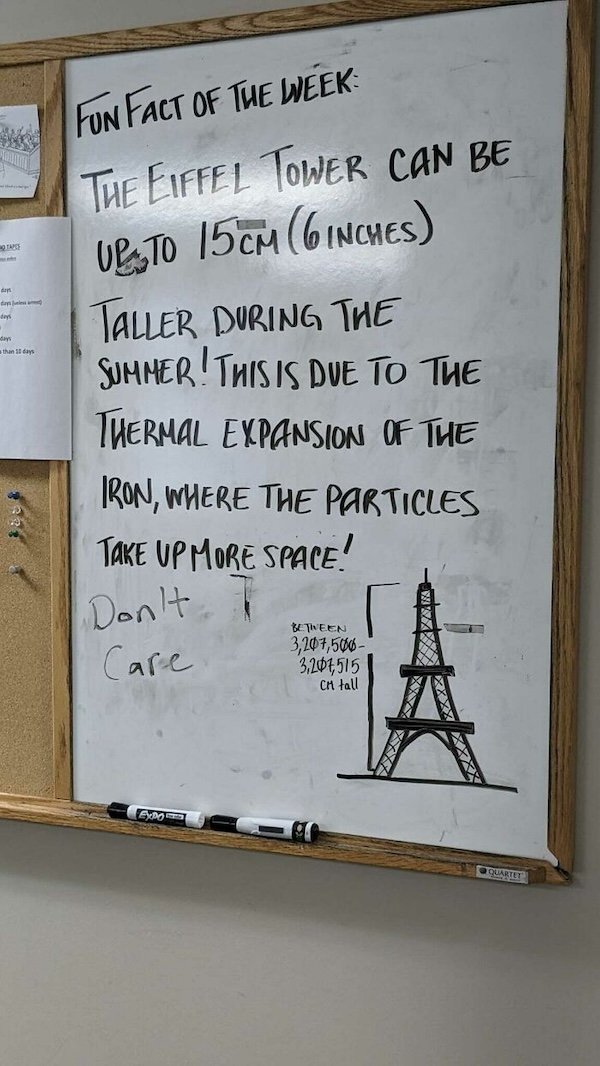 Annoying Coworkers (25 pics)