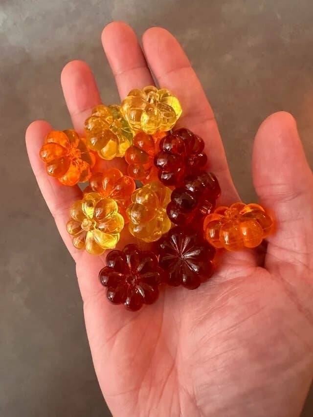Things That Look Like Food (24 pics)