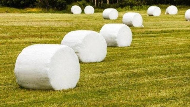 Things That Look Like Food (24 pics) Things That Look Like Food (24 pics)