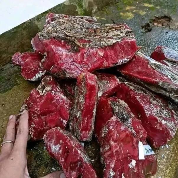 Things That Look Like Food (24 pics)