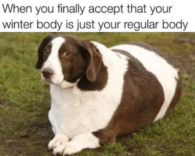 Memes About Overeating (26 pics)