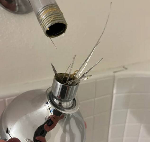 What Are These Things? (21 pics)