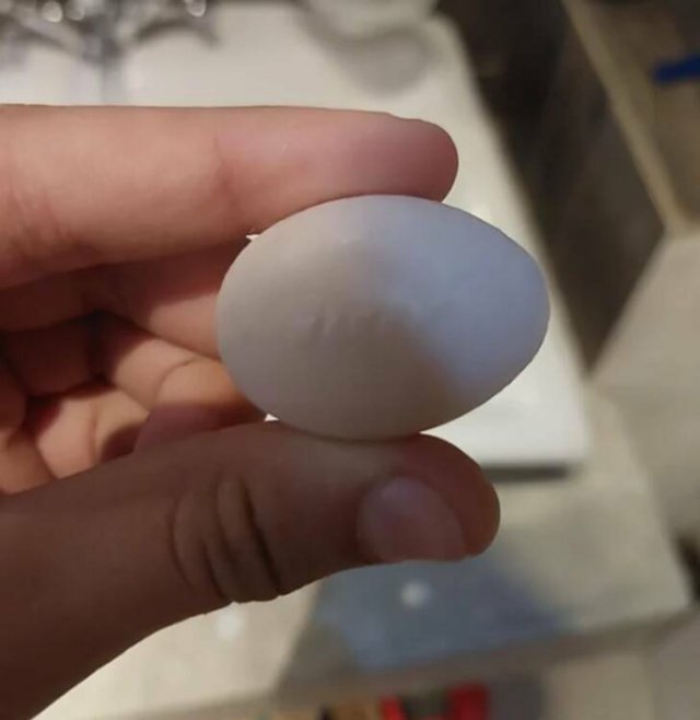 What Are These Things? (21 pics)