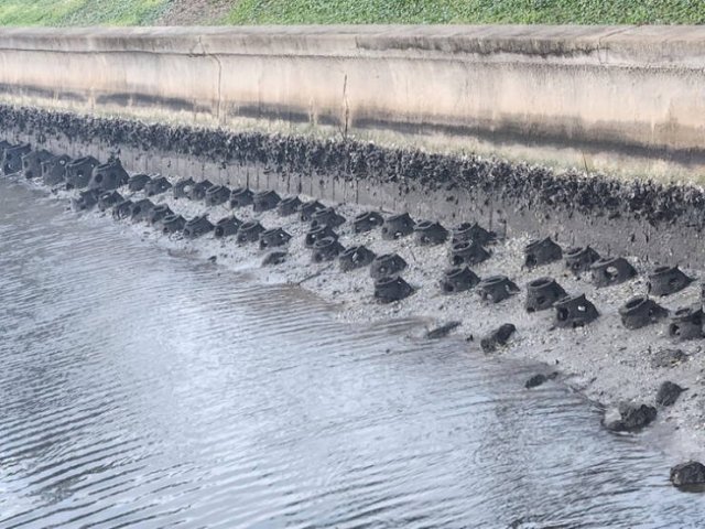 What Are These Things? (21 pics)