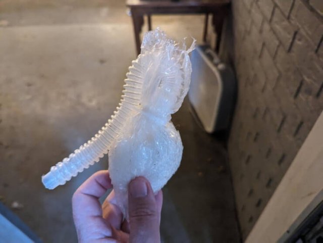 What Are These Things? (21 pics)
