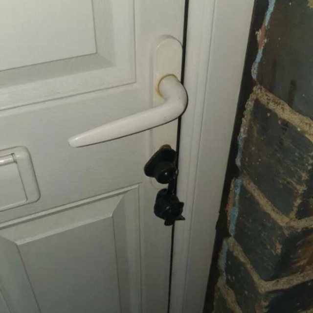 What Are These Things? (21 pics)