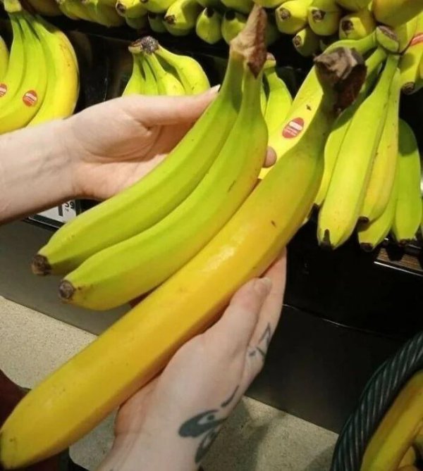 What Is Going On Here? (28 pics)