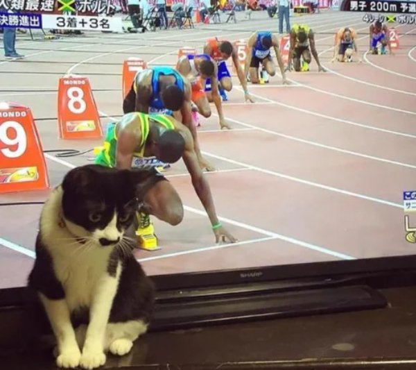 What Is Going On Here? (28 pics)