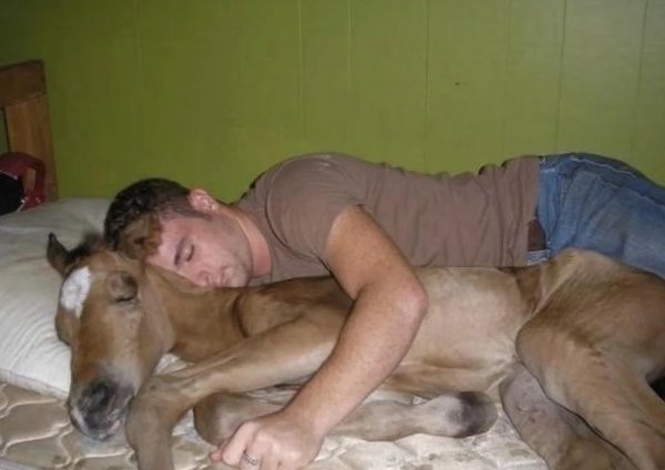 What Is Going On Here? (28 pics)