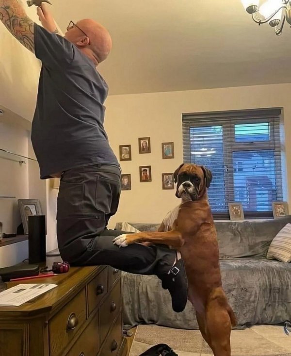 What Is Going On Here? (28 pics)