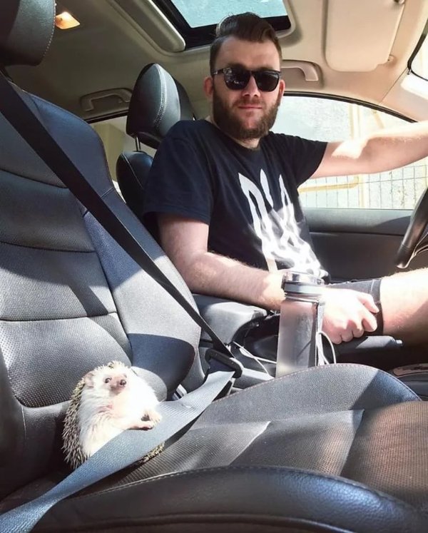 What Is Going On Here? (28 pics)