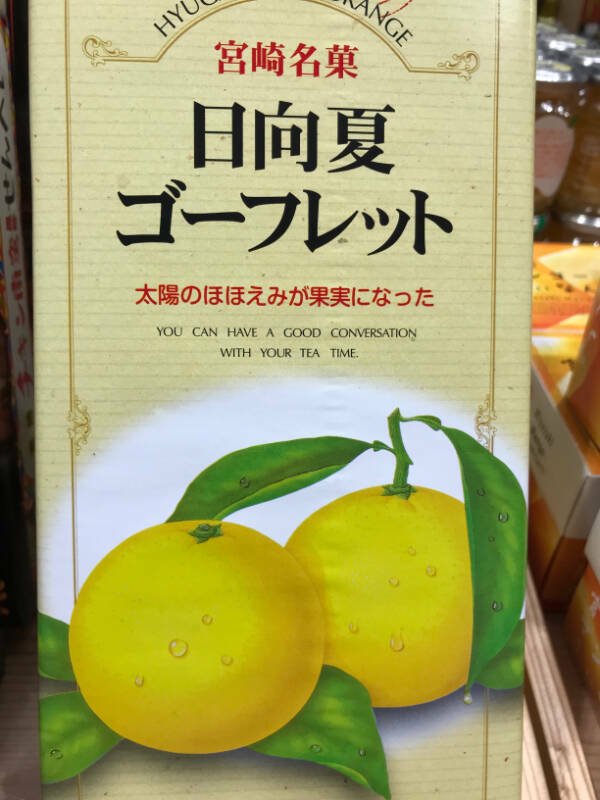 Failed Translation (24 pics)