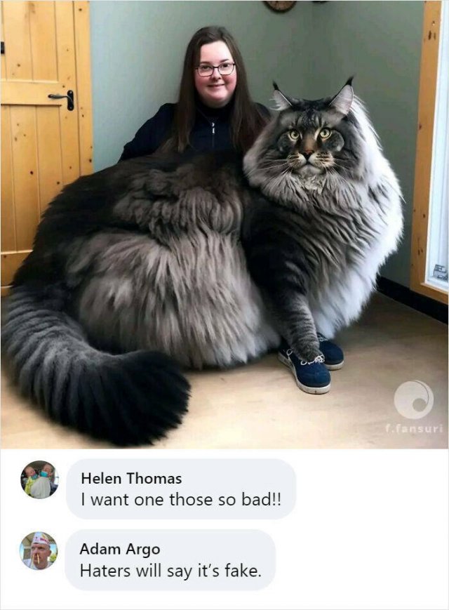 When People Mistook Generated Photos For Reality (17 pics)