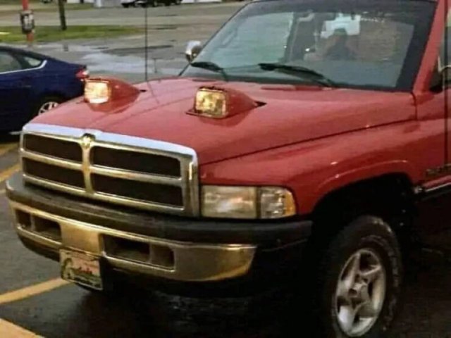 Strange Finds (16 pics)