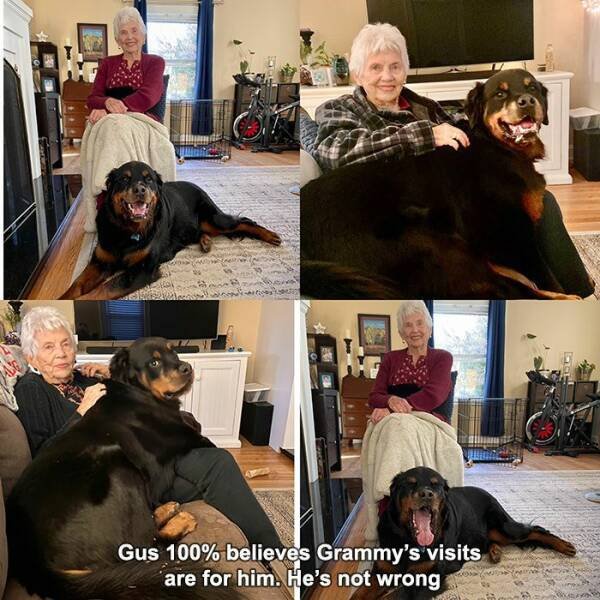 Life Is Beautiful (32 pics)