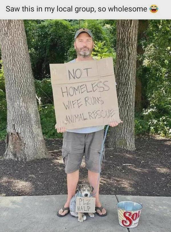 Life Is Beautiful (32 pics)