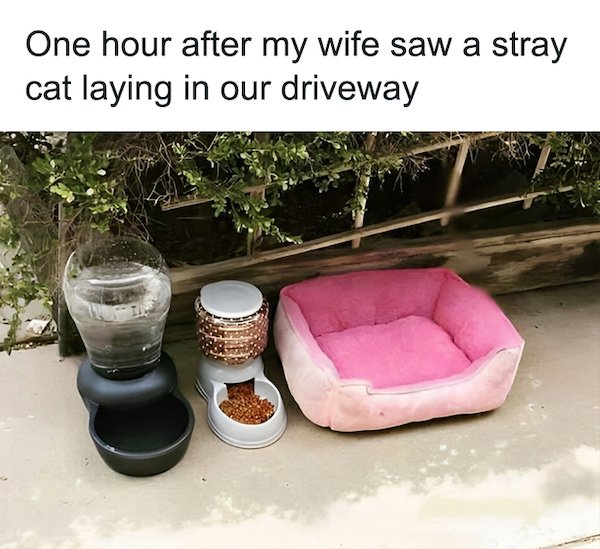 Life Is Beautiful (32 pics)