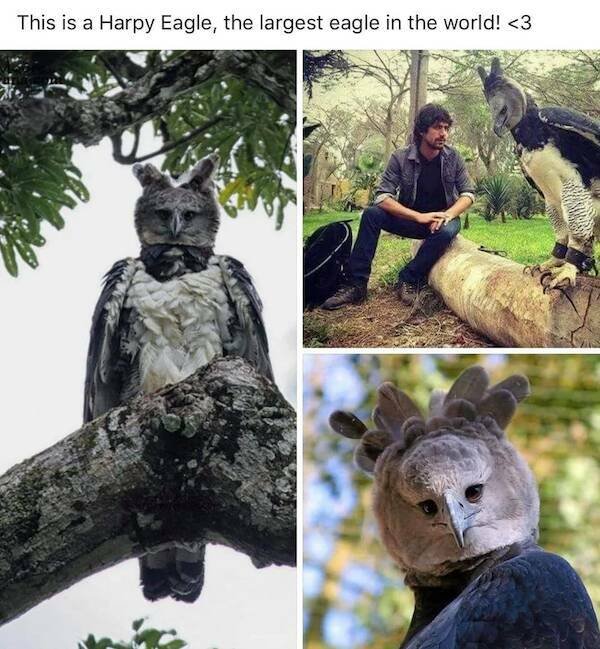 Creepy Finds (16 pics)