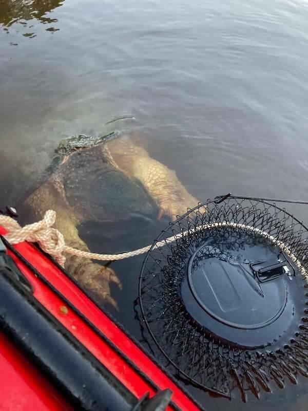 Creepy Finds (16 pics)