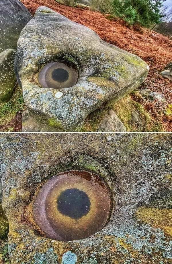 Creepy Finds (16 pics)