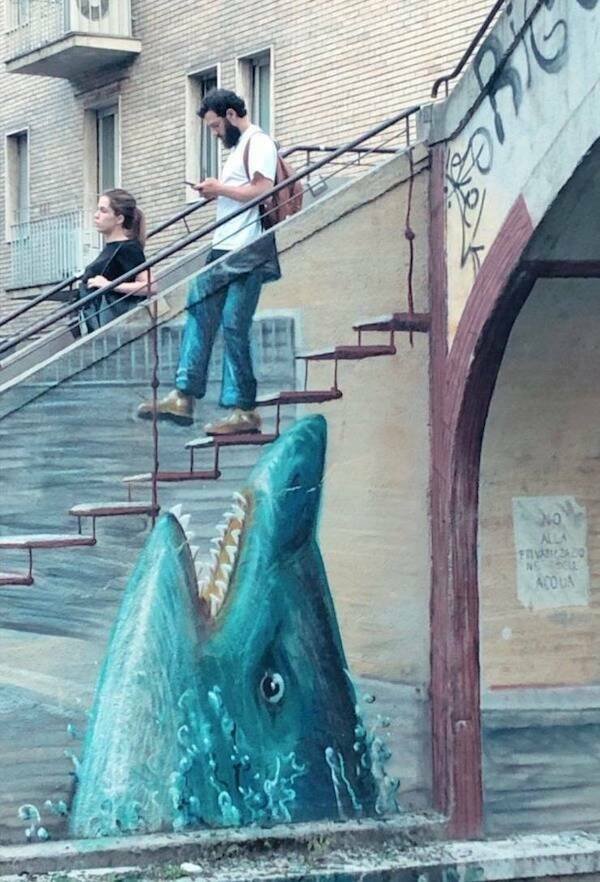 What Is Going On Here? (24 pics)