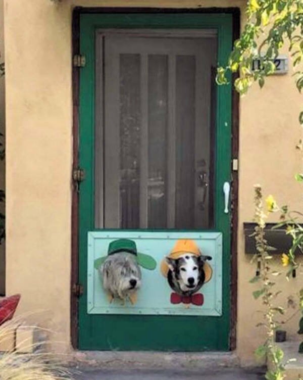 What Is Going On Here? (24 pics)