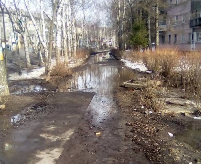 Strange Russians (38 pics)