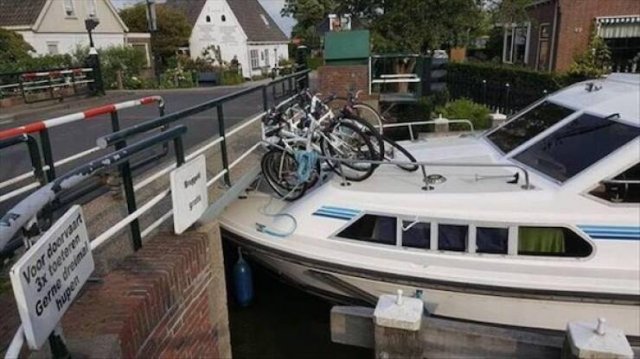 What Is Going On Here? (24 pics)