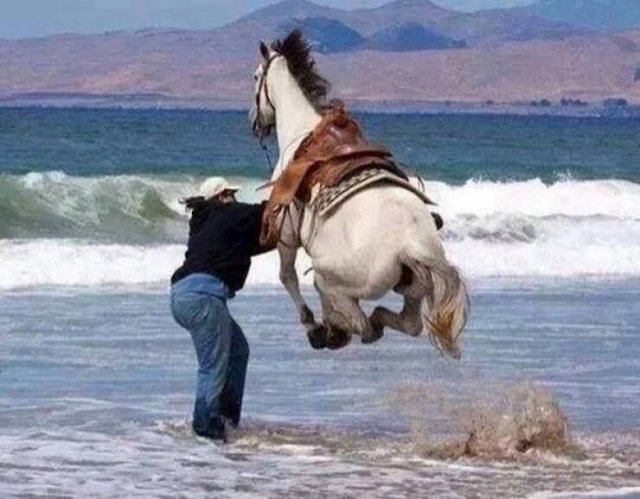 What Is Going On Here? (24 pics)