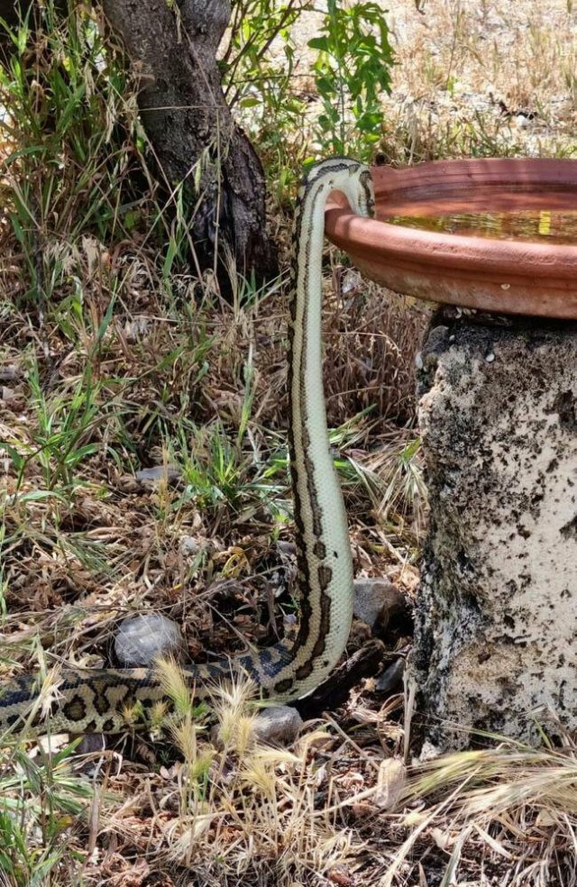 What Is Going On Here? (24 pics)