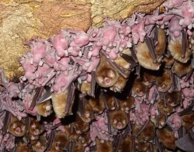 Creepy Finds (16 pics)